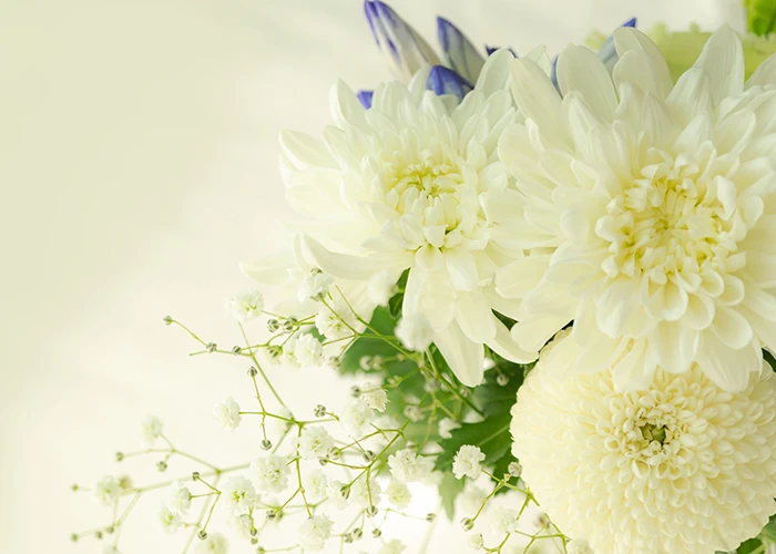 特殊清掃、遺品のご供養にも対応